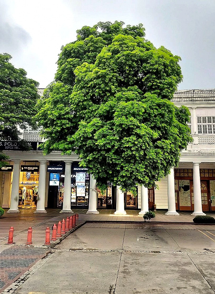 Connaught Place: Circles of Imperial History